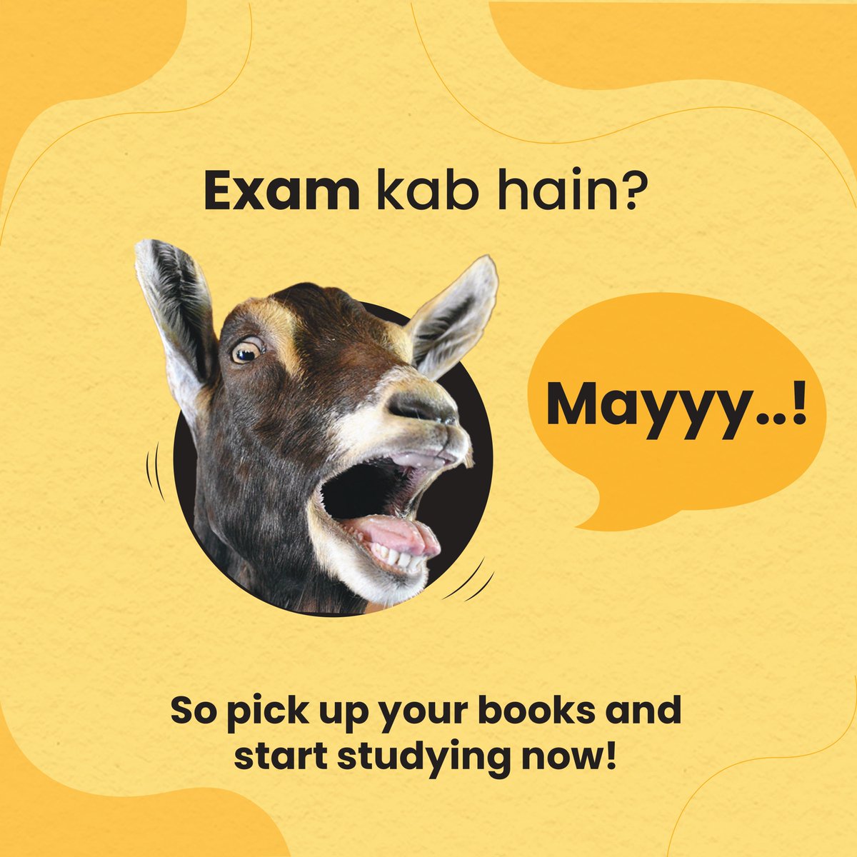 Yep, it's May...! Even the goat is aware that exam season is here. With your exams just around the corner, we're here to send you our heartfelt wishes for success.

It's time to hit the books and ace those exams like the G.O.A.T.
.
.
#TMU #TMUMBD  #exam #examtime #examtimememe