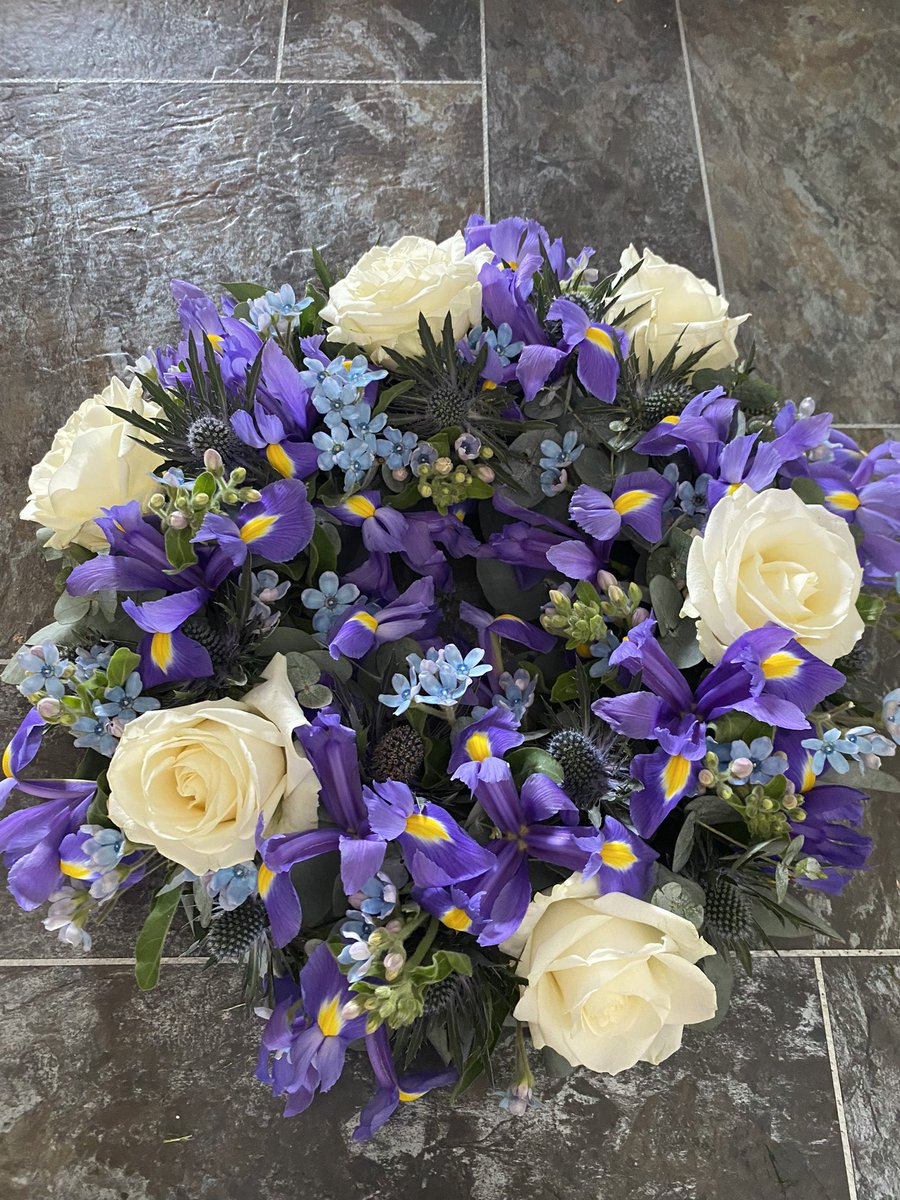 stella owen tweet media