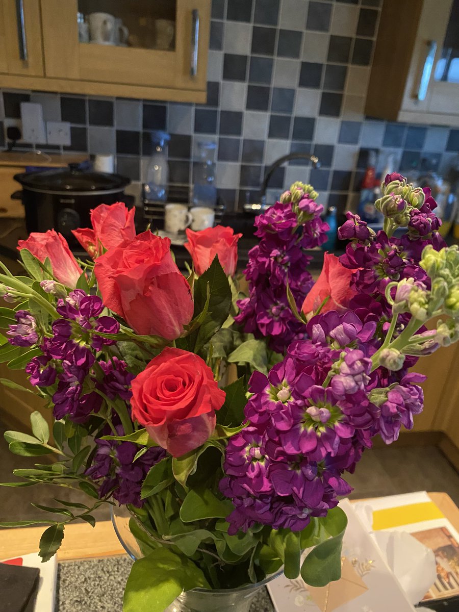 stella owen tweet media