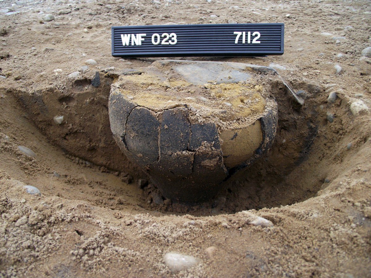 CotswoldArch's tweet image. From Beaker flat graves to medieval brew-houses, our 11-year excavations at Wangford Quarry have it all ⛏️🏺🍻

We've uncovered Bronze Age cremations, Iron Age roundhouses, and more urns than your Great-Aunt's living room, all nestled in a south-facing gravel terrace that holds…
