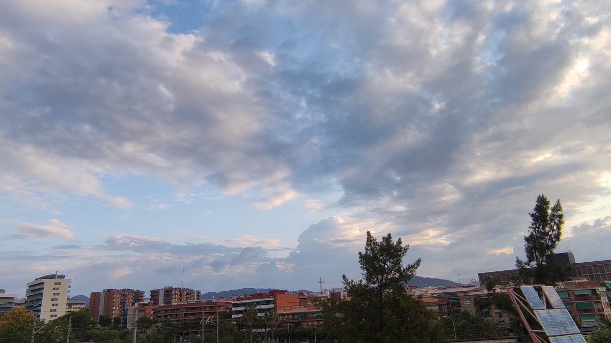 #Bondia.

#Dimecres 22/5/24.

Estació meteorològica del #BarriCentre de #Cornellà.
Dades actualitzades a les 7:20 hores:

-T 16,8°C
-HR 80%
-Pressió 1016,6 hPa
-#Vent del NNE. 3 km/h
-T Mínima 16,7°C
-T Màxima 18,2°C
-Ratxa màxima #Llevant 26 km/h

El cel a Cornellà, ara👇