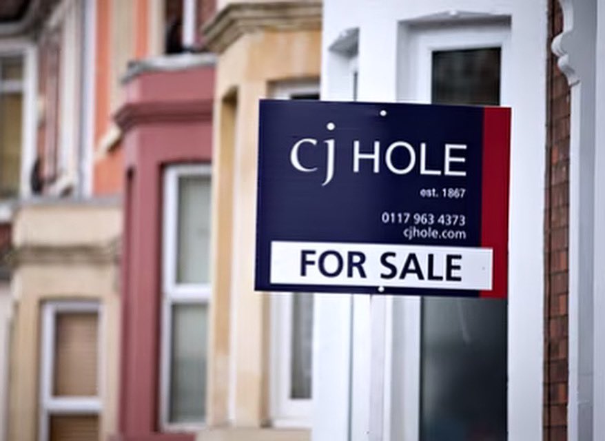 SignboardCo's tweet image. What a beautiful morning for some board spotting 🧐💙🪧

📞 0117 955 8884
📧 sales@signboard.co
🖥️ signboard.co

#Flag #Boards #ForSaleBoards #EstateAgents #PropertySector #Supplier #Print #EcoBoards #EstateAgencyBoards #Signboard