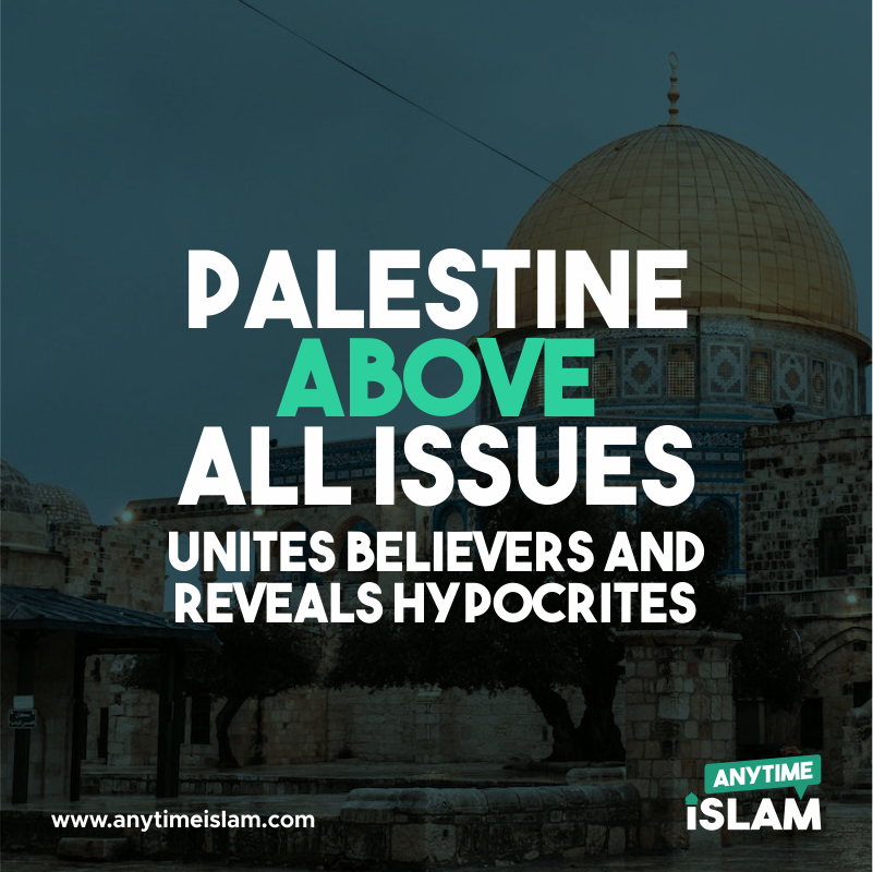 Palestine above all issues unites believers and reveals hypocrites

#freepalestine #anytimeislam
