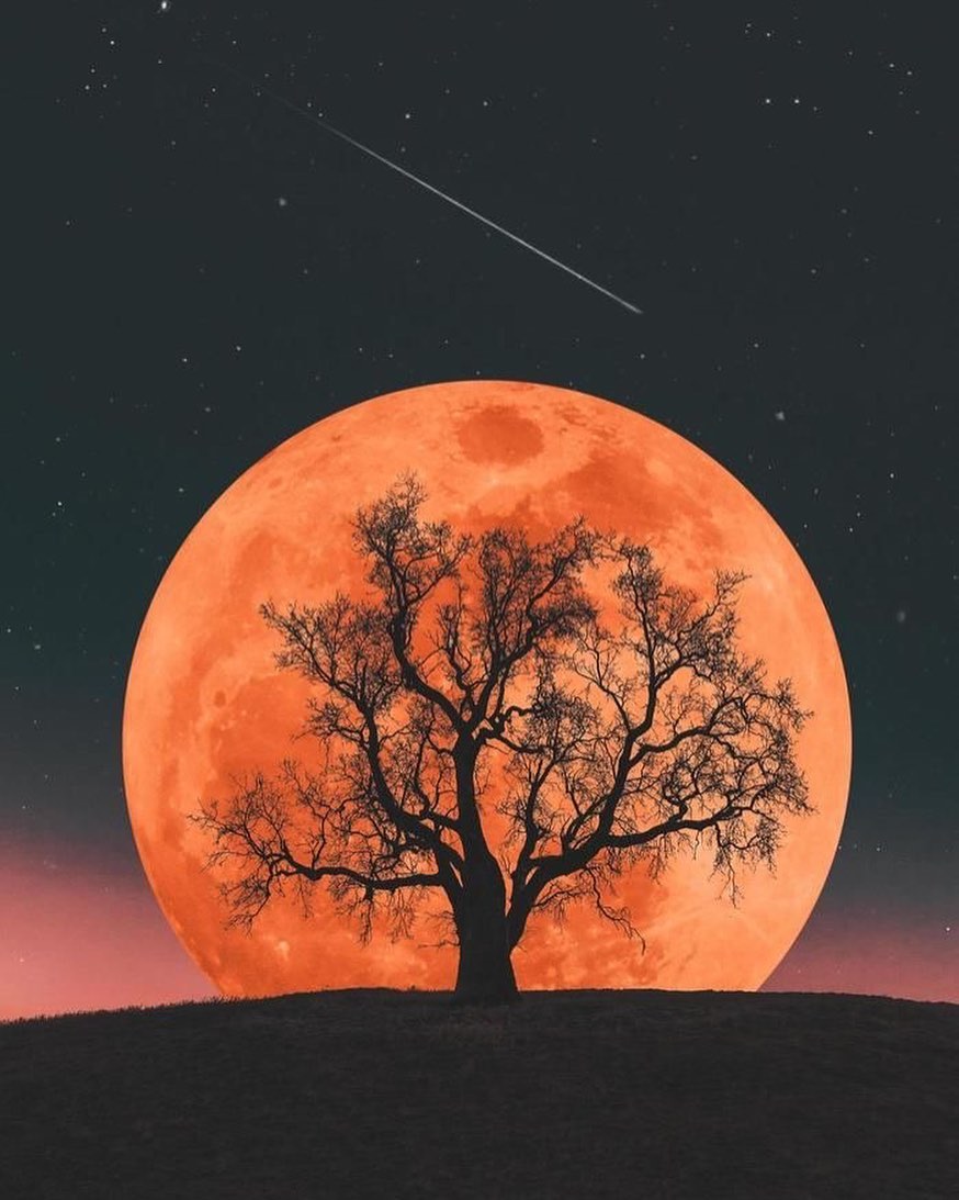 Moon4pics's tweet photo. https://t.co/OK9X8tkxkF