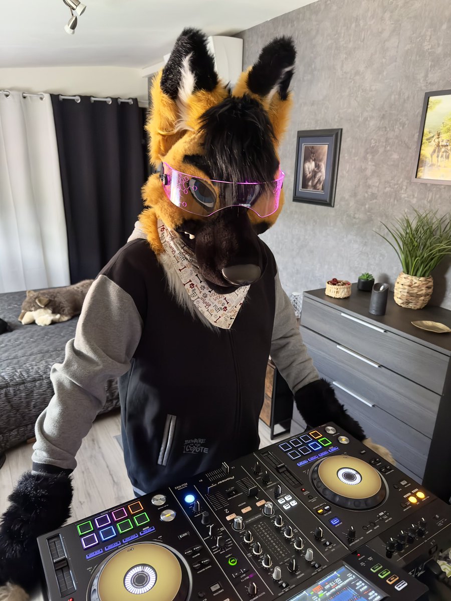 Training time! @MadeFurYou #dj #furry #djfurry