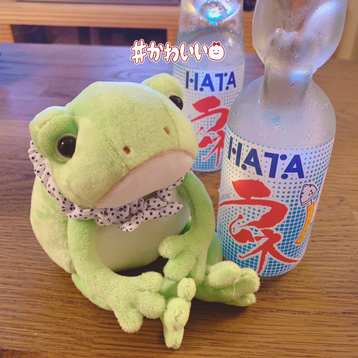 【モンスイユ】ミルキー　2匹セット モンスイユ】ミルキー 2匹セット - メルカリ