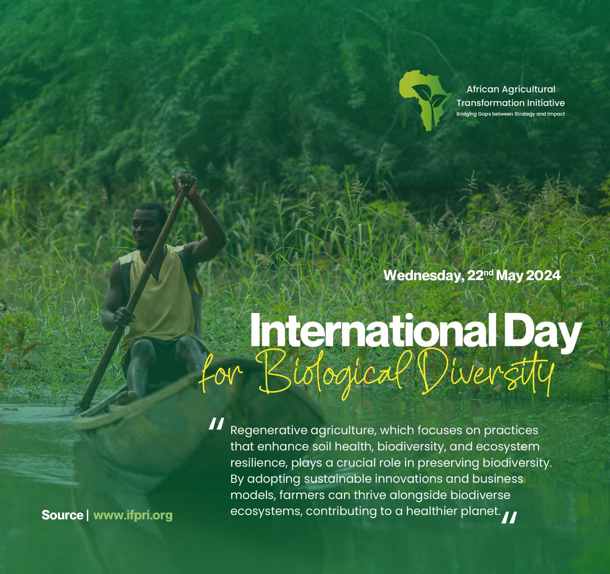 As we celebrate, #InternationalBiodiversityDay. We're reminded that food systems based on the sustainable use of biodiversity & traditional knowledge have the potential to provide food security and livelihoods in a sustainable manner. 

#AgriTransformation | #AfricaATO