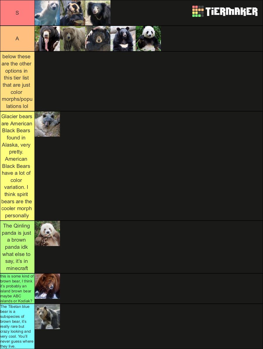 Found a bear tier list that had some morphs/populations of bears so I did that. I think if you’re gonna do morphs/subspecies/populations you should go all out no need 2 just leave it at glacier bears, throw in cinnamon bears and spirit bears and chest blazed ones idk