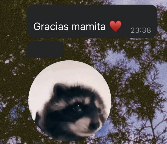 anasofiaglezm's tweet photo. Mi madre usando el sticker del mapache Pedro 🥹 lol https://t.co/1WCaoGCsbX