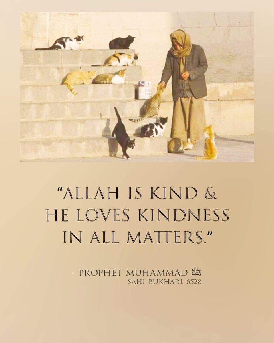 ❤️ ❤️❤️❤️💙💜محمد💜💙❤️❤️❤️❤️
 ❤️صلی اللہ علیہ وآلہ وسلم ❤️
اللہ مہربان ہے اور وہ ہر طرح کے معاملات میں محبت کرتا ہے۔

صحیح بخاری (6528)
#قومى_زبان