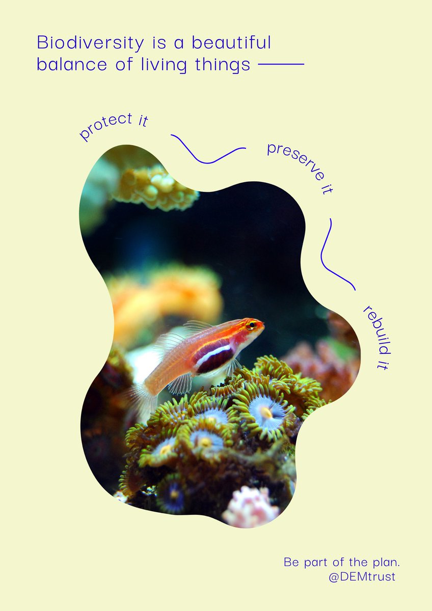 Join us in celebrating international biodiversity day. Remember we depend on nature so nature depends on us to protect it so let’s act now. 

#bepartoftheplan 
#biodiversity