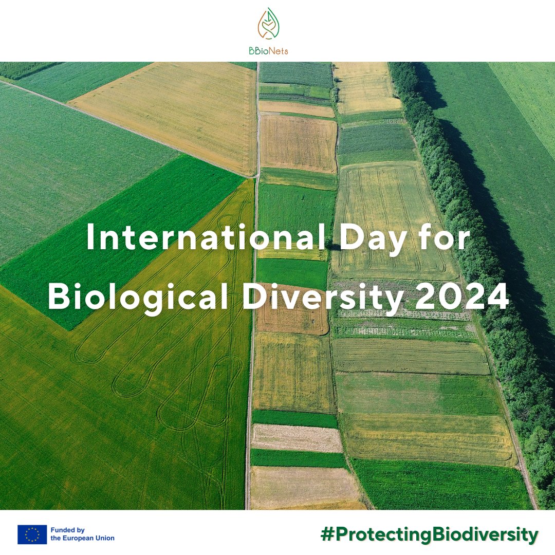 🎉Int. Day for #BiologicalDiversity!🌿
🌱#Biodiversity plays a key role in ensuring #agricultural #productivity & #forest #resilience.
♾It is also closely linked with #bioeconomy - #BBioNets is a perfect example of this synergy!
Check out more 👉bbionets.eu
