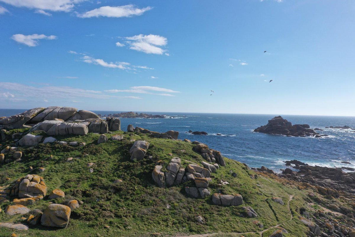 The stunning fortified settlement of Os Pericos (Ribeira, #Galicia), a rocky hill over the brave Atlantic, was an incognita for 2 decades, after the finding of Bell Beaker pottery (ca 2000 BC) in some shelters. Research made things even more difficult! #HillfortsWednesday
