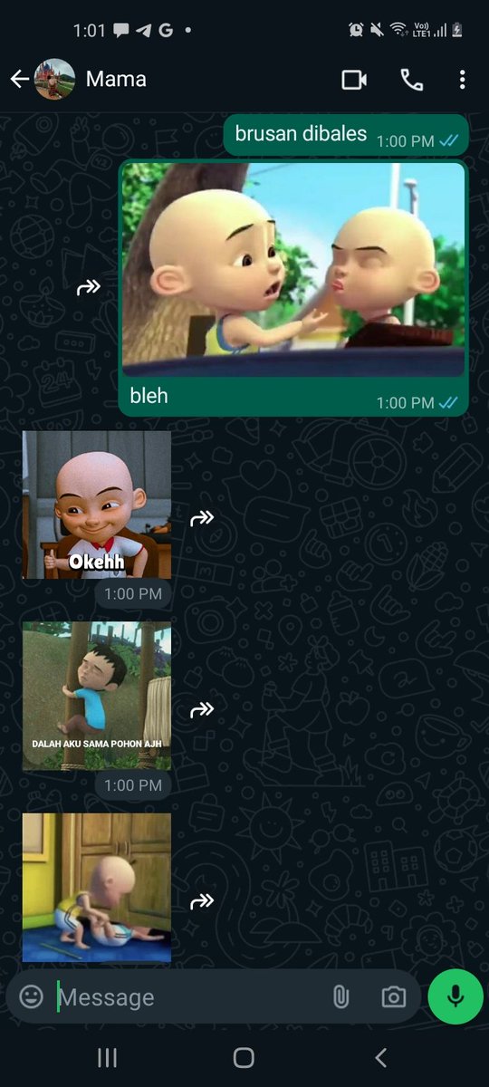 rutinitas chat ke Mama kayak gini terus maapkan 🤣😬