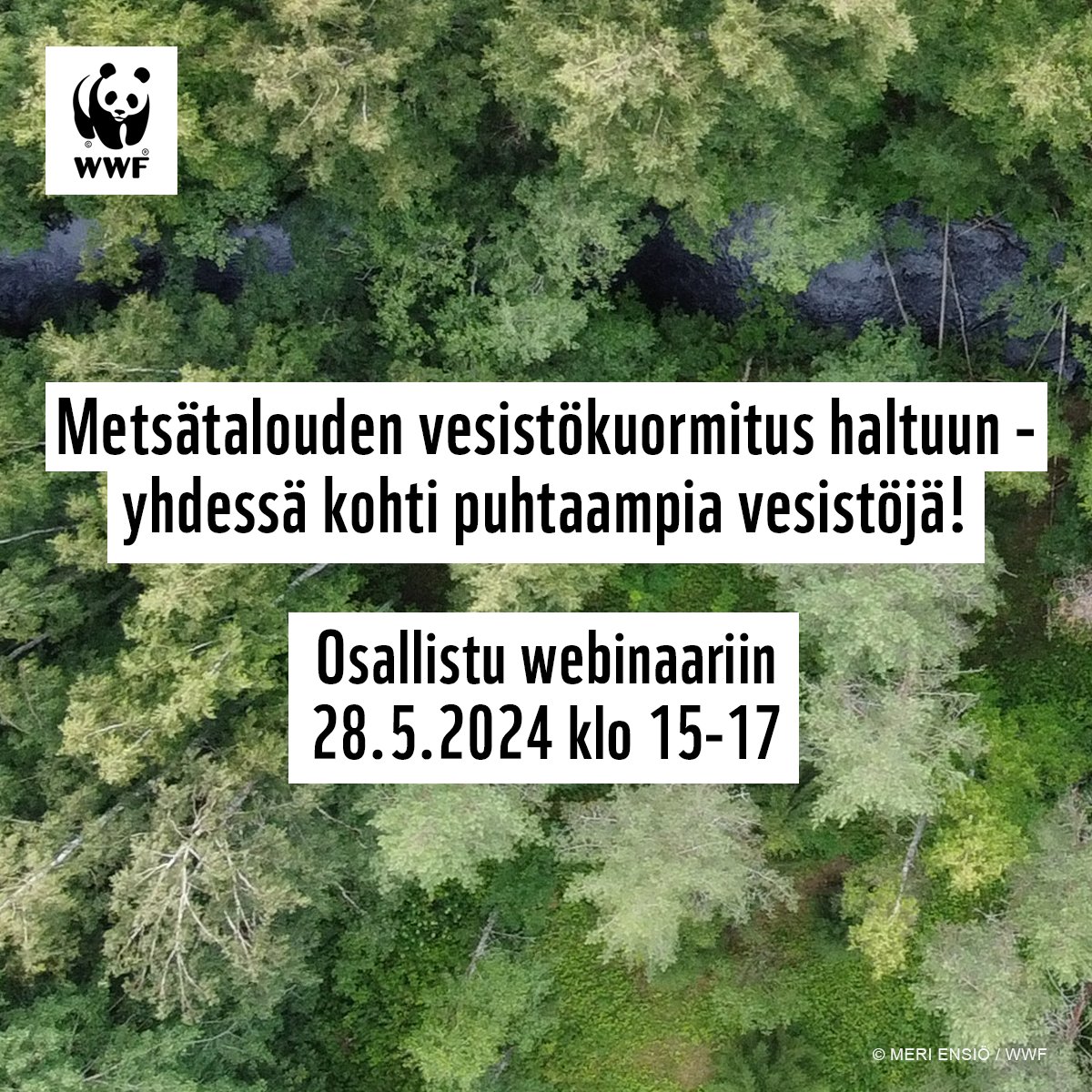 ☀️🌲 Jokainen metsänomistaja voi vaikuttaa päätöksillään vesistöjen tilaan – tule mukaan webinaariin kuulemaan lisää! 🌲 ☀️ 📅 28.5.2024 klo 15-17 #Metsälähde #WWFSuomi #Vesiensuojelu #Metsätalous #Metsänomistaja Lue lisää ja ilmoittaudu: wwf.fi/tapahtumat/web…