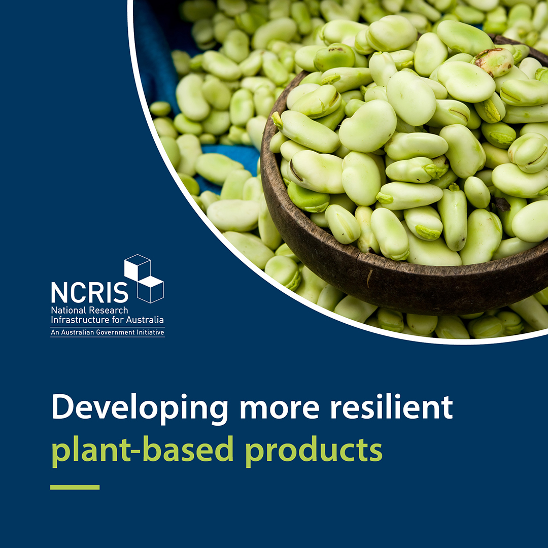 It’s International Day for Biological Diversity. Experts from the Plant Protein Atlas Initiative, @AustPlantPhenom and @bioplatformsaus are leading the development of more resilient and flavourful plant-based products. More: srkr.io/6015K5D #NCRISimpact