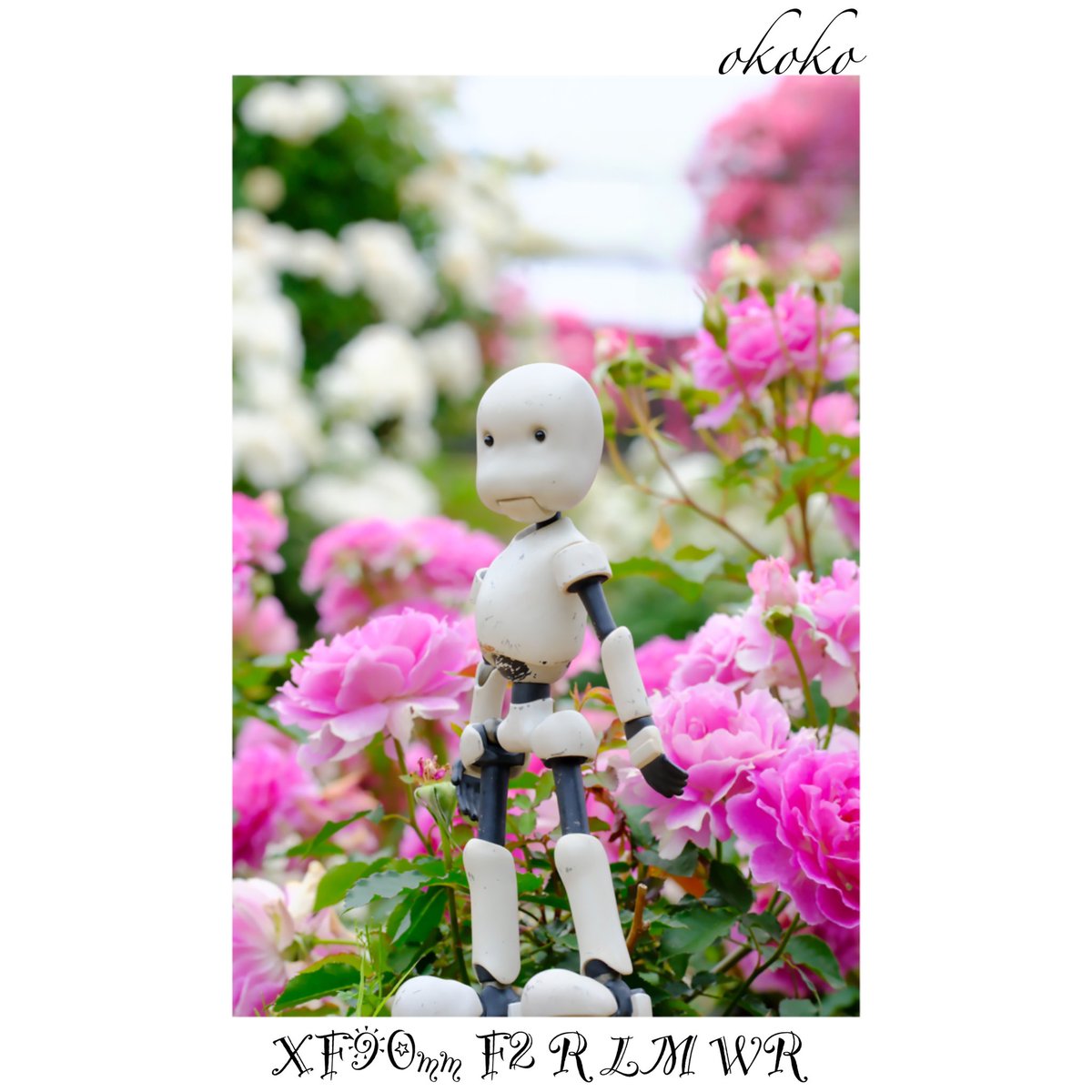 popmart2022's tweet photo. #ジャンクヘッド　#fujifilm  #バラ https://t.co/kupyFIegMW