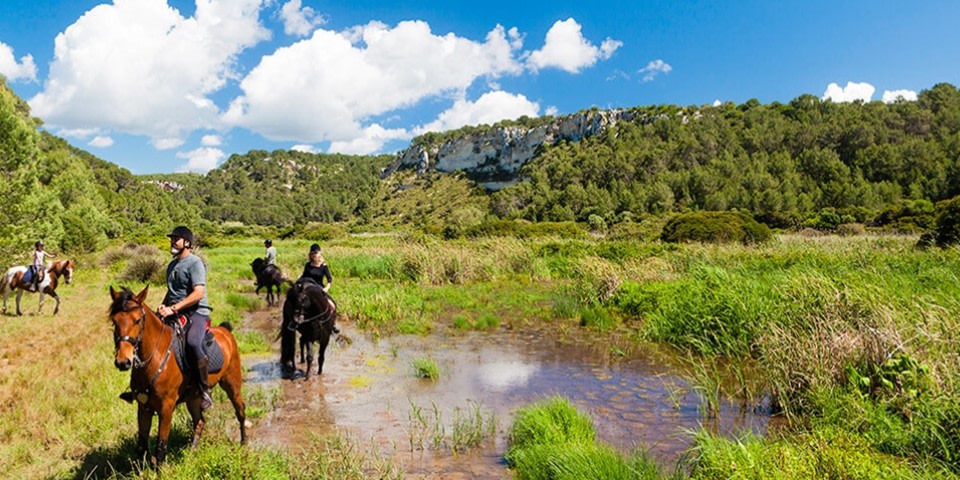 Good Morning #Wednesday! 💚 'Accept no one's definition of your life, define yourself.' — Harvey Fierstein #DoYouDeserveSpain #VisitSpain #Menorca #GoodMorning #BuenosDías #HappyWednesday #FelizMiércoles #HappyWeek #FelizSemana #BuenosDíasMundo #GoodMorningWorld