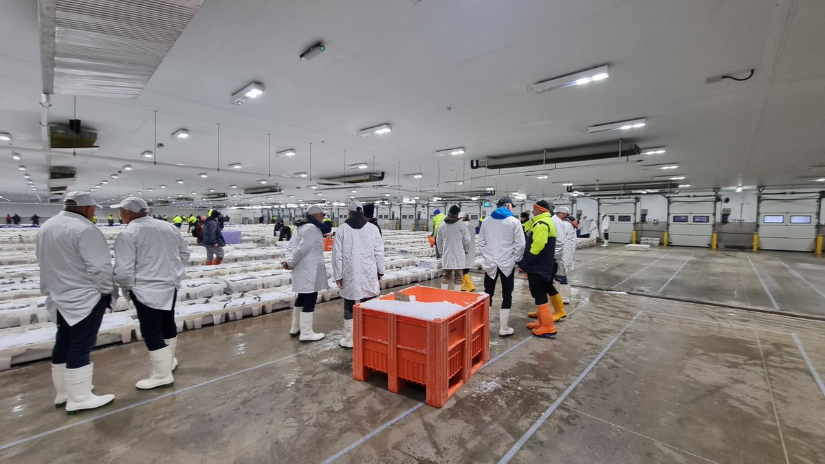 At the start of the #FishPlatform meeting in Peterhead, the delegates visit the local #fish market.