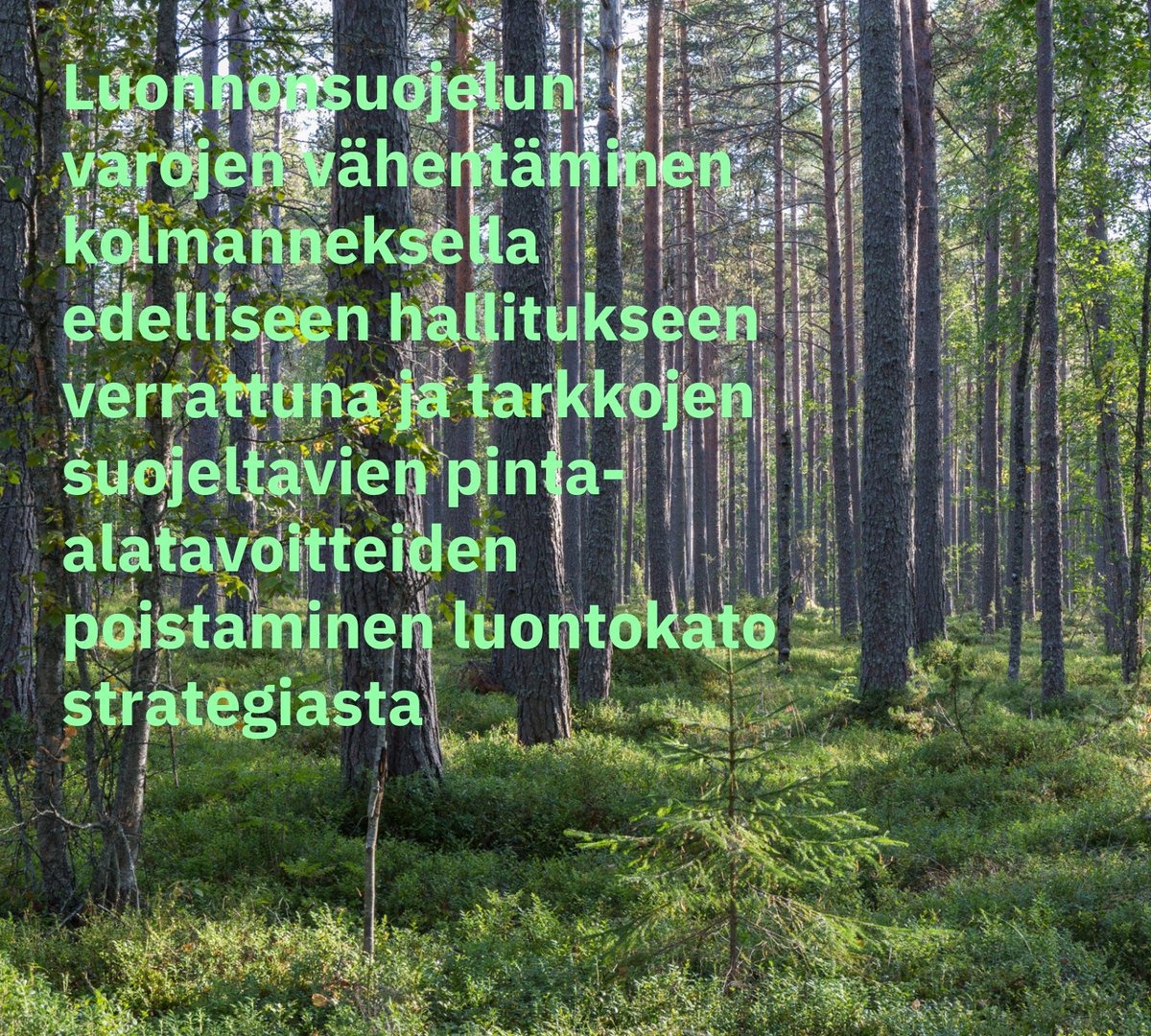 Luonnonsuojelun varojen vähentäminen kolmanneksella edelliseen hallitukseen verrattuna -  Luonnonsuojelun varojen vähentäminen tuntuu mm Metsähallituksen luontopalvelujen ennallistamistoimien rahoituksessa. Säästöt osuvat myös yksityisten metsien suojelun Metso-ohjelmaan.🧵