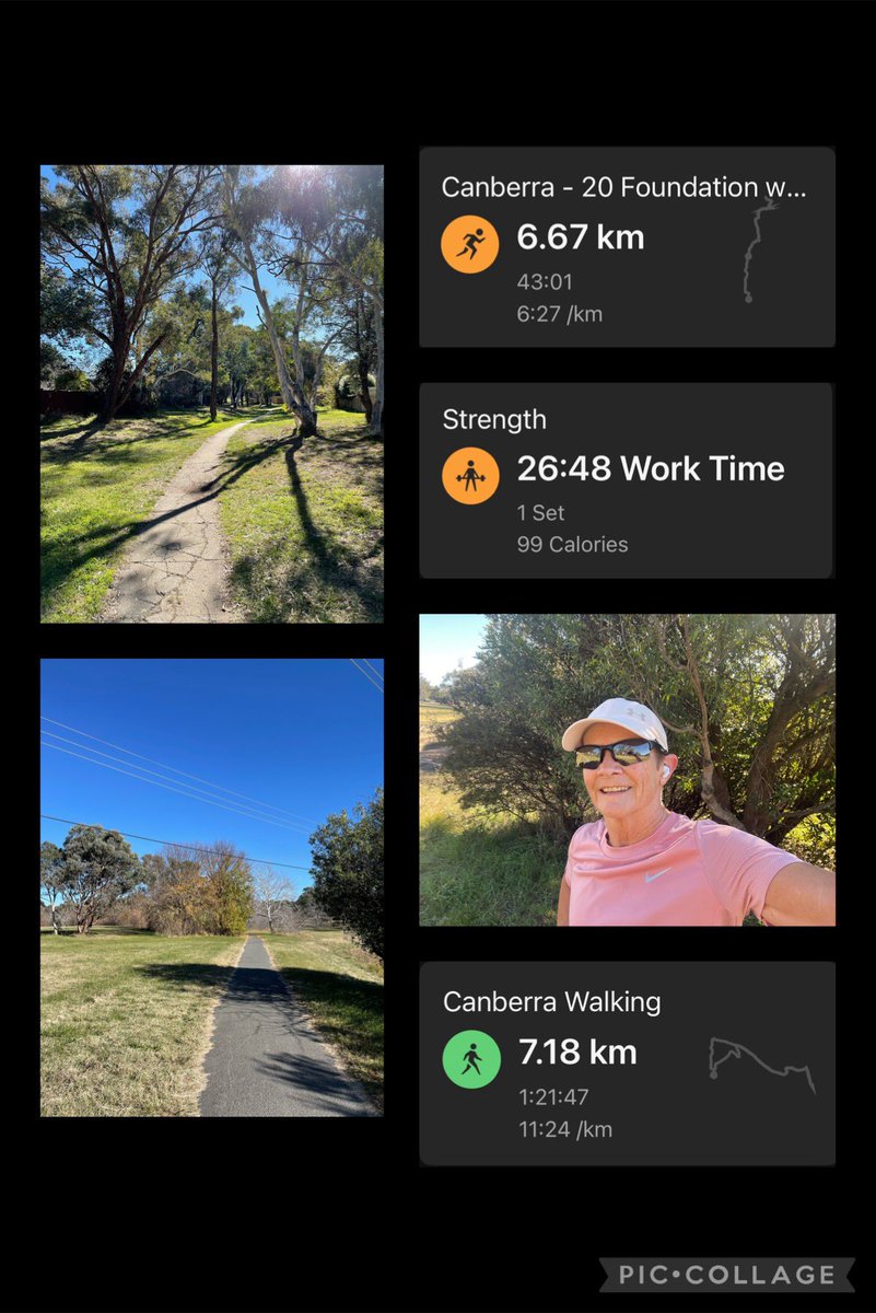 Cathy 🦉 tweet media