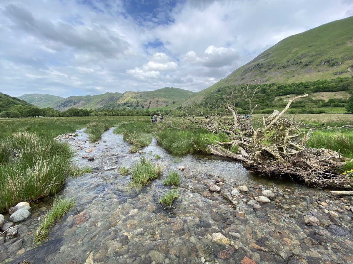 freshwaterbio's tweet photo. Anastomosing ribbons of loveliness! #RiverRestoration #FBAtraining https://t.co/oLRxq2PYEu