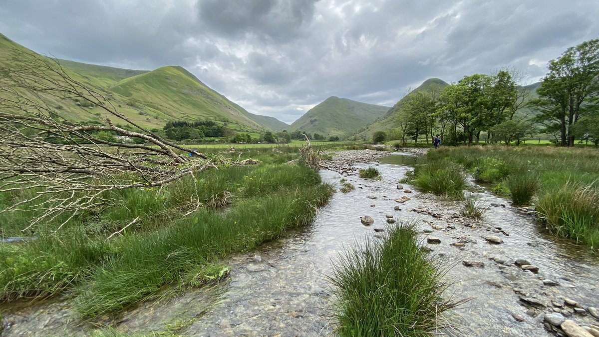 freshwaterbio's tweet photo. Anastomosing ribbons of loveliness! #RiverRestoration #FBAtraining https://t.co/oLRxq2PYEu