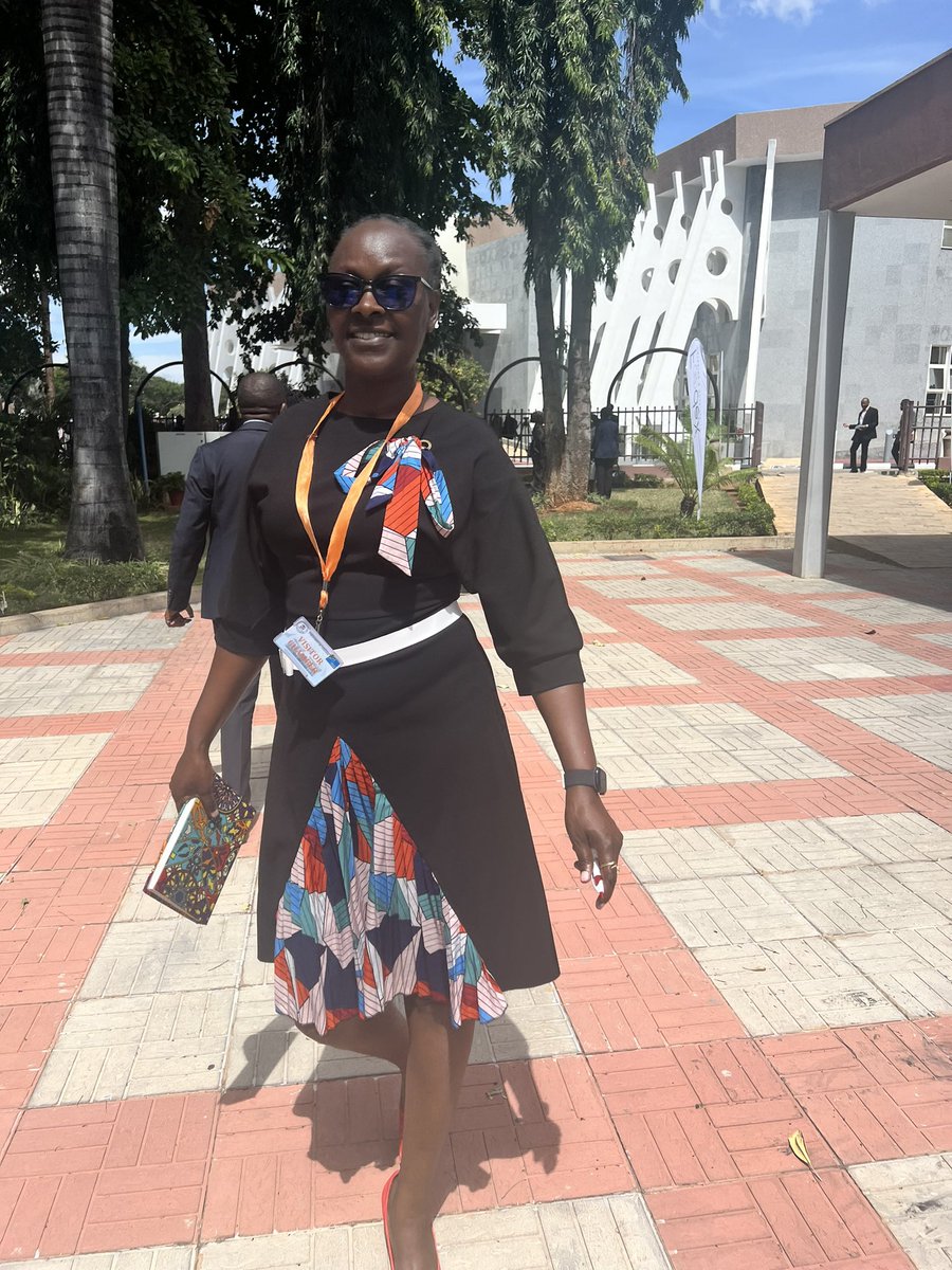 This week at the Pediatric HIV Technical working group: The priority is to improve quality of care and services; TWG recommends rolling out quality of care standards to standardize services in all health facilities. Let’s goooo @wizara_afyatz @EGPAF @UNAIDS @AmrefTanzania