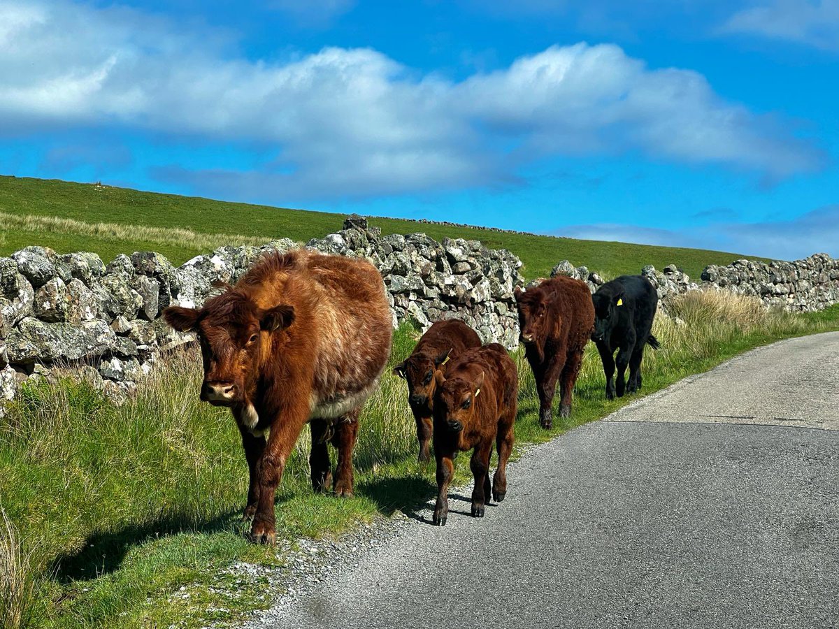 North Coast Explorer tweet media