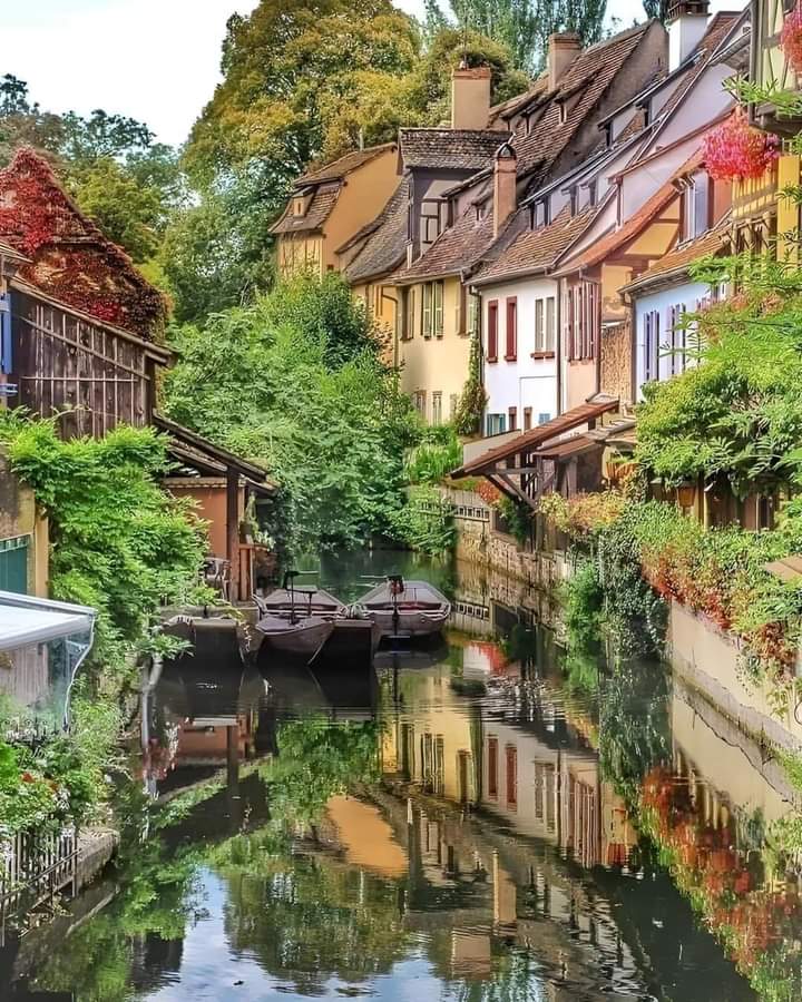 📍 nature lover, Alsace,- France 🇨🇵
#beautifulnature #死刑求刑 #naturephotography #nature #naturelovers #NatureUSA #tripadvisor #traveler #tours