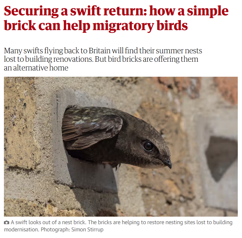 In the recent Biodiversity Loss debate Nature Minister @pow_rebecca stated 'There is a biodiversity metric on swift bricks.' This it not true. One swift way of ensuring voters feel unheard 19 months into this hugely supported swift brick campaign wcl.org.uk/docs/Link_lett…