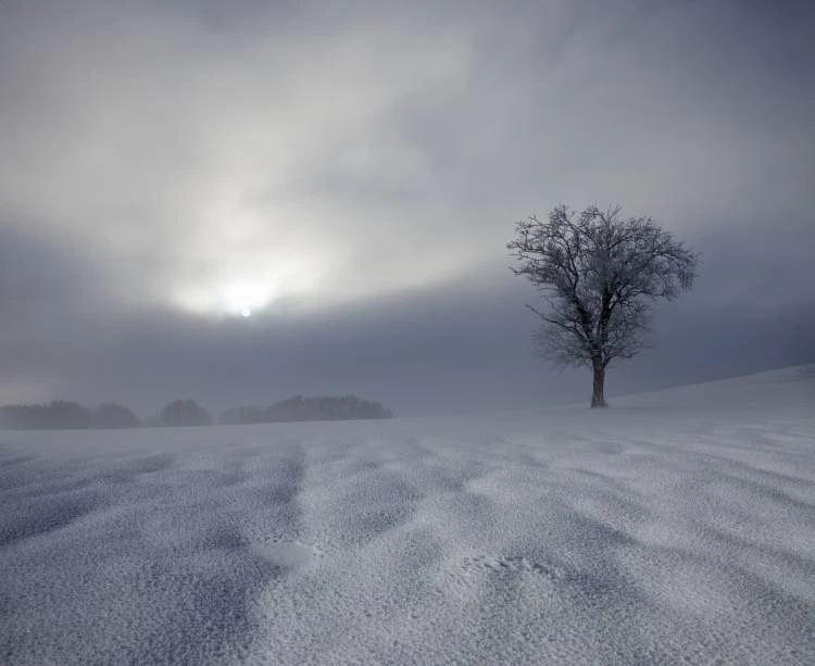 Très belle #photo minimaliste de Franz Schumacher...