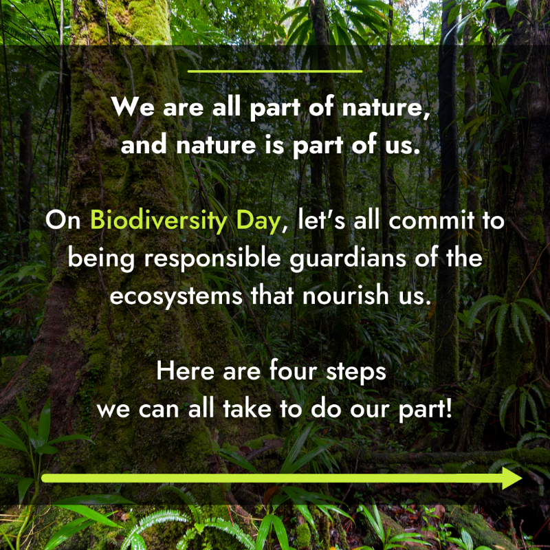 IFAD's tweet photo. 🌍 On #BiodiversityDay, let's all commit to being responsible guardians of the ecosystems that nourish us. 

After all, we’re all part of nature, and nature is part of us.