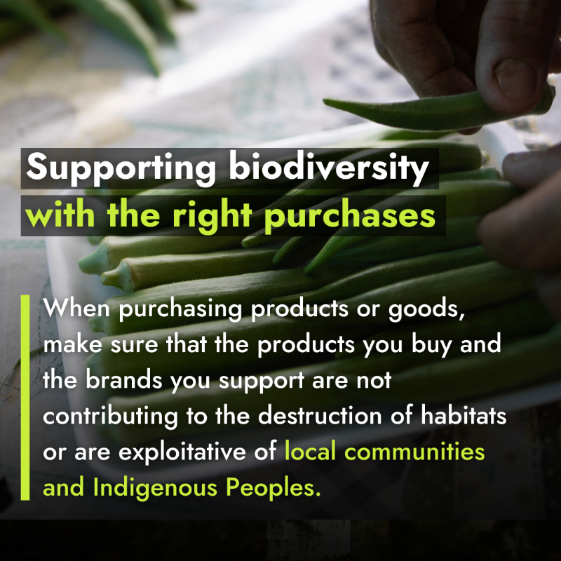 IFAD's tweet photo. 🌍 On #BiodiversityDay, let's all commit to being responsible guardians of the ecosystems that nourish us. 

After all, we’re all part of nature, and nature is part of us.