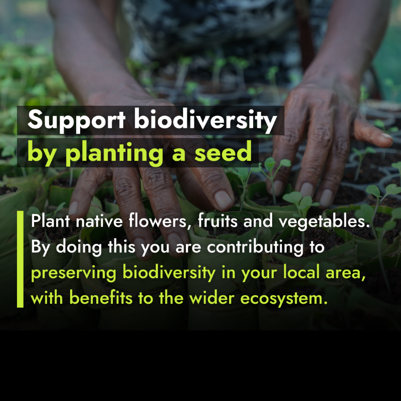 IFAD's tweet photo. 🌍 On #BiodiversityDay, let's all commit to being responsible guardians of the ecosystems that nourish us. 

After all, we’re all part of nature, and nature is part of us.