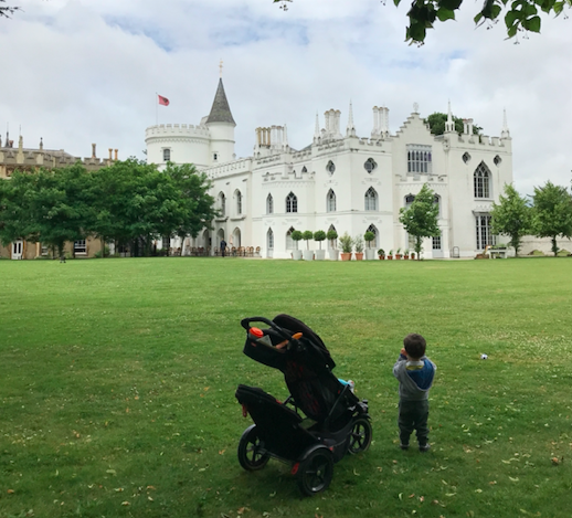 The MTPT Project tweet media