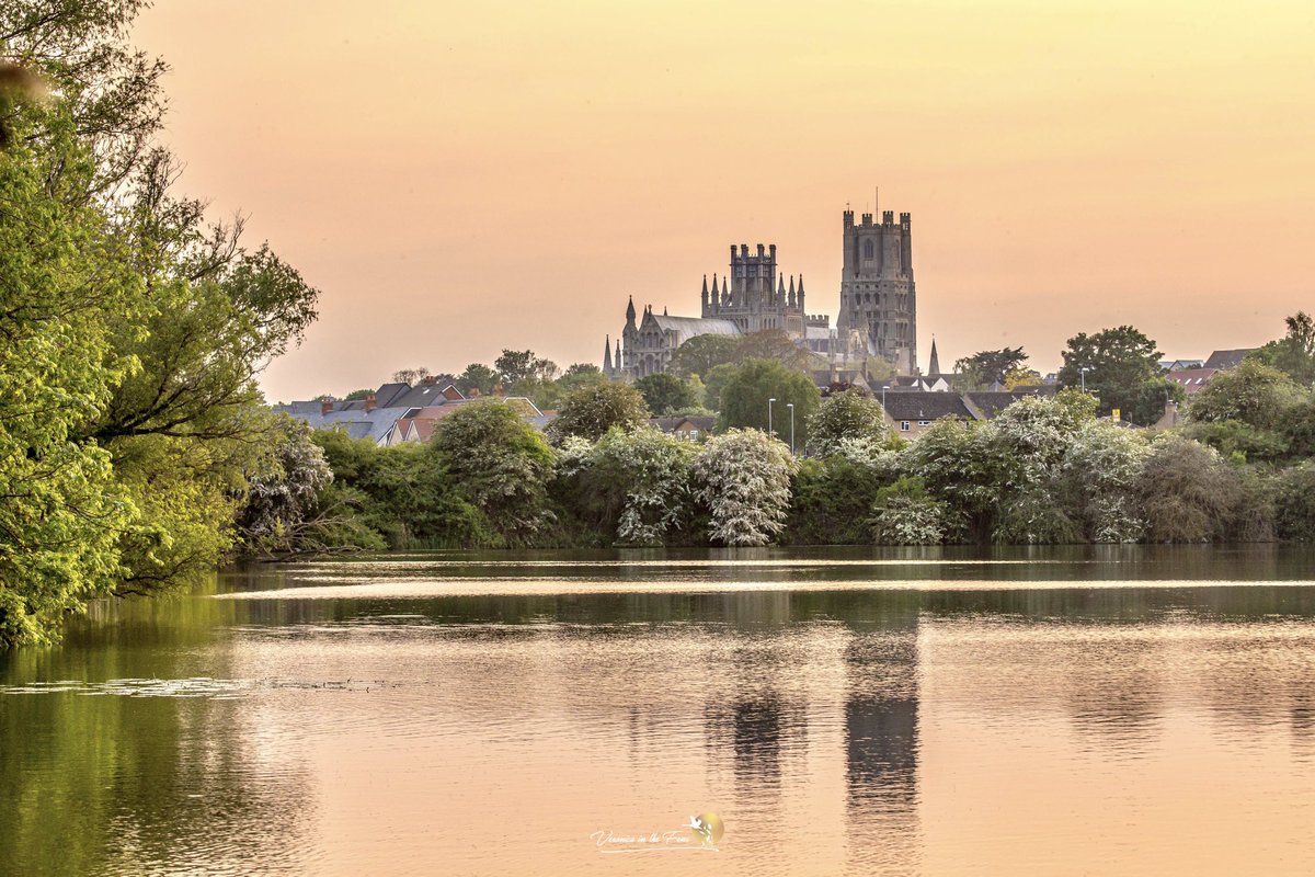 Happy Wednesday 🌷🧡🌷 Ely Cathedral, Cambridgeshire “Do not allow negative thoughts to enter your mind for they are the weeds that strangle confidence.” — Bruce Lee