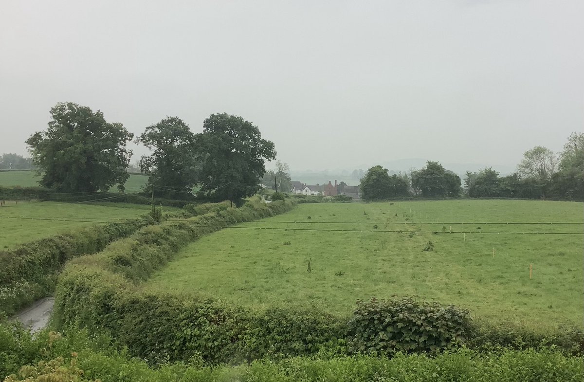 Good morning from the #WelshMarches. Green, grey, and wet. 🌧☔️