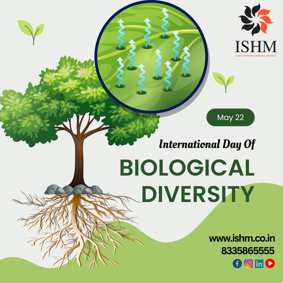 ISHM42943848's tweet photo. ISHM Celebrates International Day of Biodiversity

22 May has been observed as International Day of Biodiversity to raise awareness about several biodiversity issues. 

#ishm #ishmkolkata #internationaldayofbiologicaldiversity #biologicaldiversity #diversity https://t.co/BtZ0HlOJYk