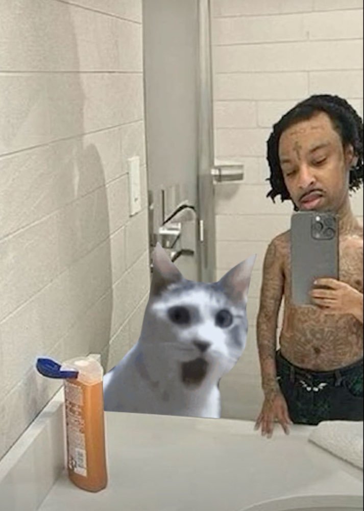 OMG I should get out of here... $OMGCAT

JCpgSDrDZFsPAD2v9xtp4NtrrXY2eVv4jNE5AgWiJ6qL