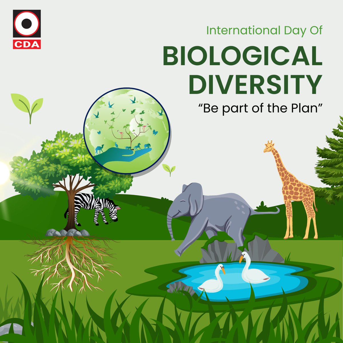 Every species, no matter how small, contributes to nature's balance. Let's honour the beauty and significance of our natural world by committing to conservation and sustainable practices.

#cuttackdevelopmentauthority #cuttackcity #CDA #BiologicalDiversity #ProtectThePlanet