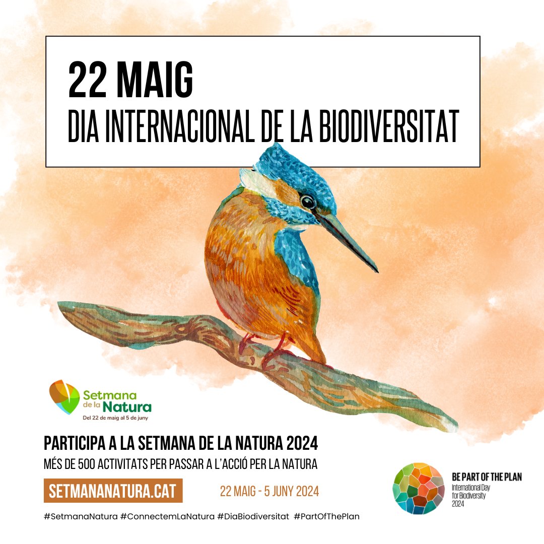🌿Feliç Dia Internacional de la Diversitat Biològica! Avui, 22 de maig, donem el tret de sortida de la ✨#SetmanaNatura✨ 🚶‍♀️15 dies per apropar-nos a conèixer la natura de la qual formem part i implicar-nos en la seva conservació! ▶️setmananatura.cat #DiaBiodiversitat