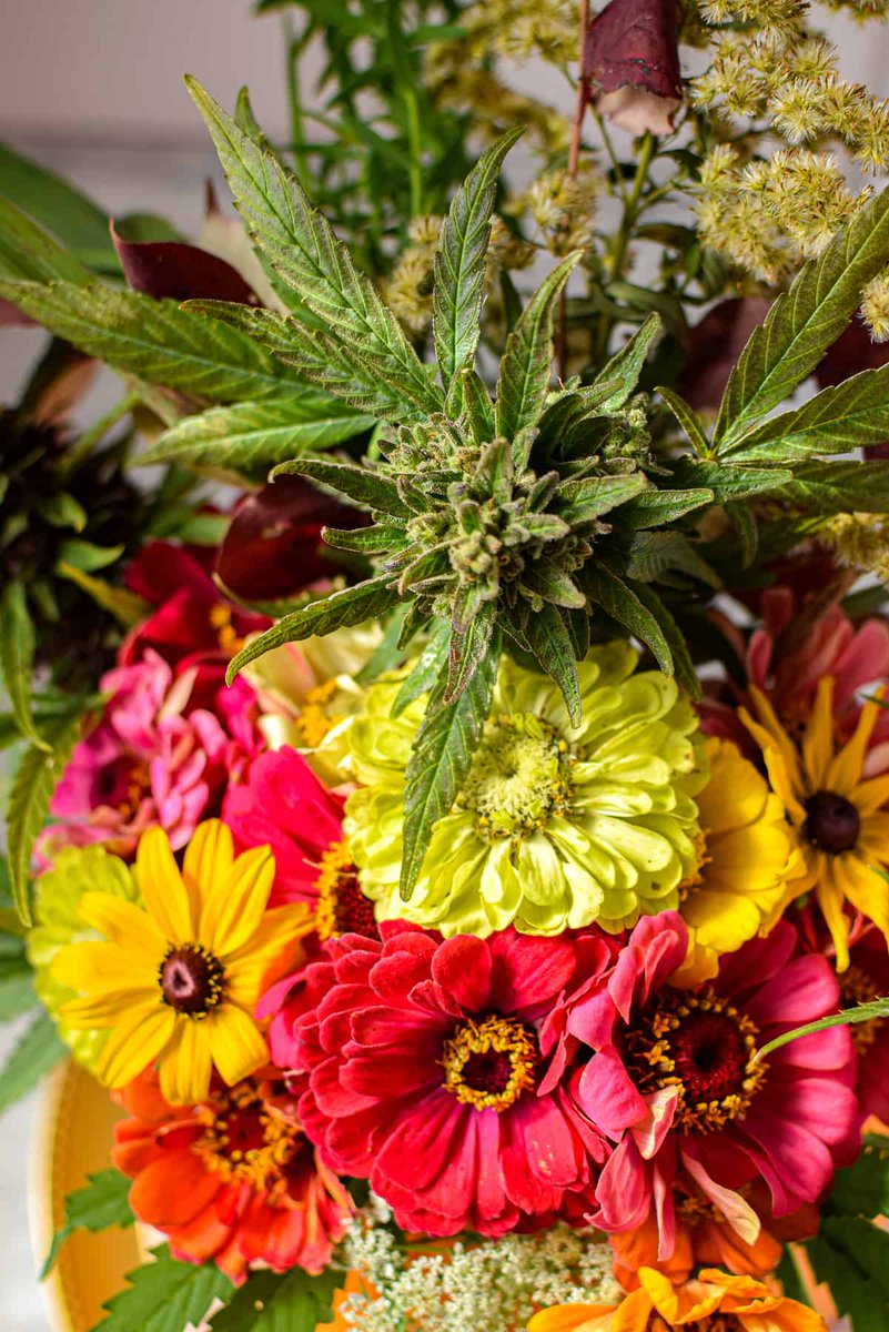 A beautiful floral arrangement 💐 📸 Emily Kyle #maryjane #indica #sativa #weed #marijuana #growyourown