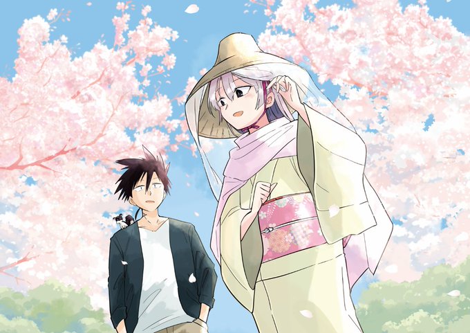 「cherry blossoms petals」 illustration images(Latest)