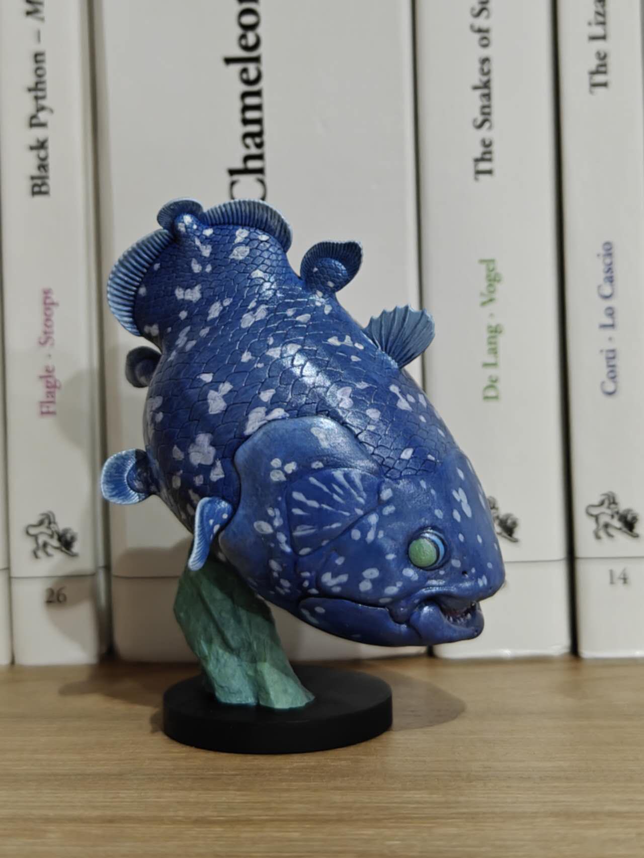 人間と動物 mqdefault.jpg