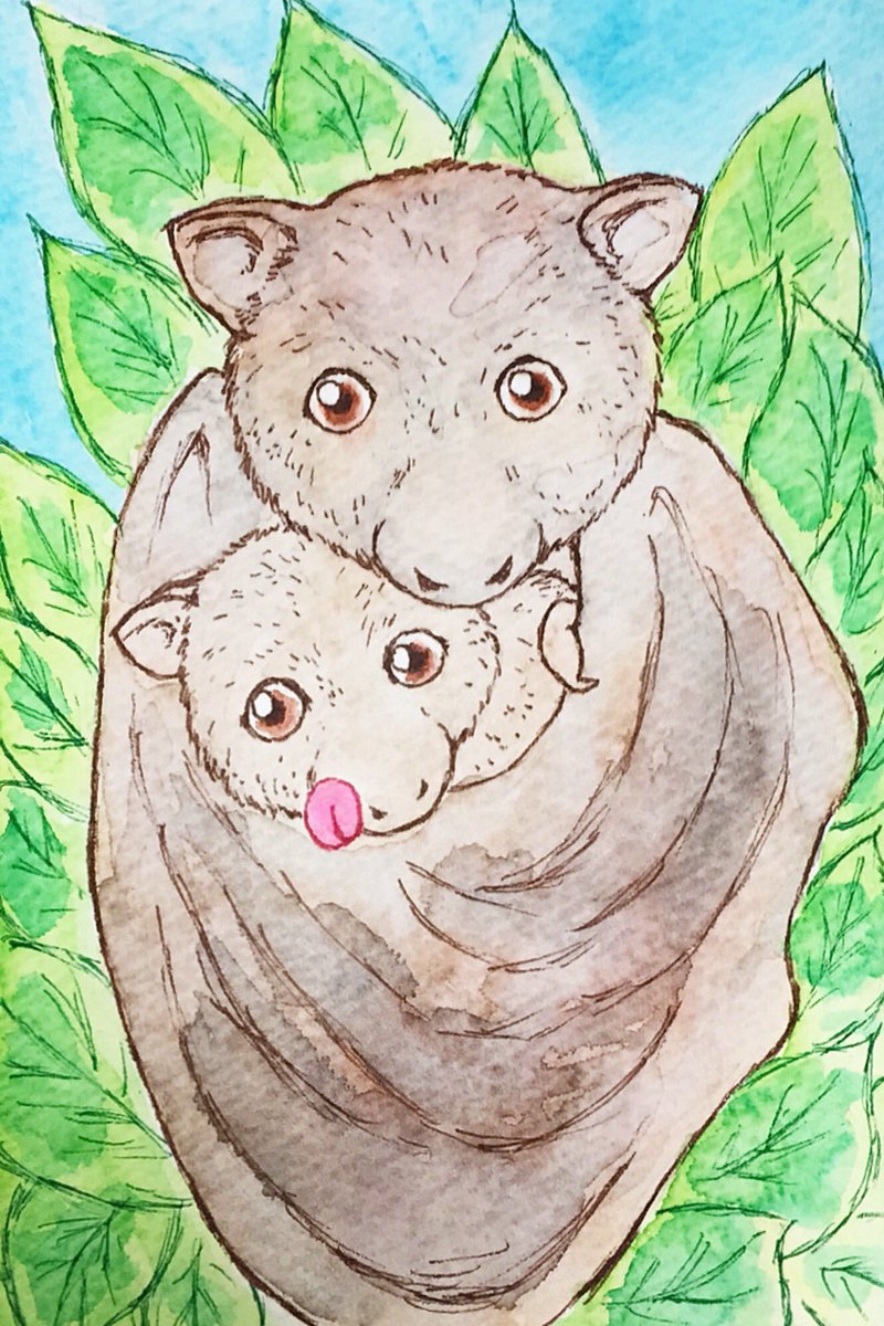 Ov55A1967's tweet image. 空飛ぶ狐の親子。本当は逆さまな絵。#動物のいる暮らし #flyingfox