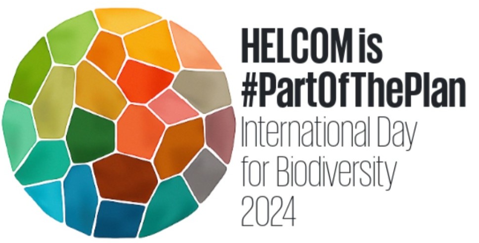 🌍 Today is International Day for Biodiversity! 🌿 Celebrated on May 22, it marks the 1992 adoption of the Convention on Biological Diversity. The 2024 theme, 'Be part of the Plan,' urges support for the GBF. How to get involved: ow.ly/2gSH50RQtay #BiodiversityDay 🌱🌊