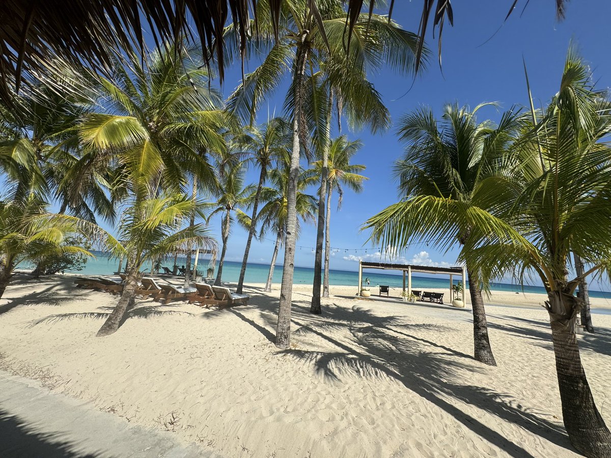 TheRapRapEffect's tweet photo. Home for the next 3 days https://t.co/NbixqS135D