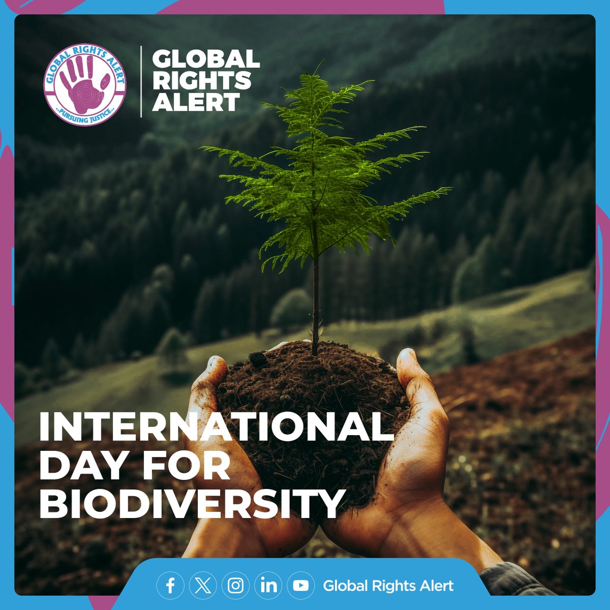 On this International Day for Biodiversity, let us remember that climate change affects us all, but vulnerable communities bear the brunt. At Global Rights Alert, our Climate Justice program is dedicated to promoting inclusion, equity, and resilience in the face of this global