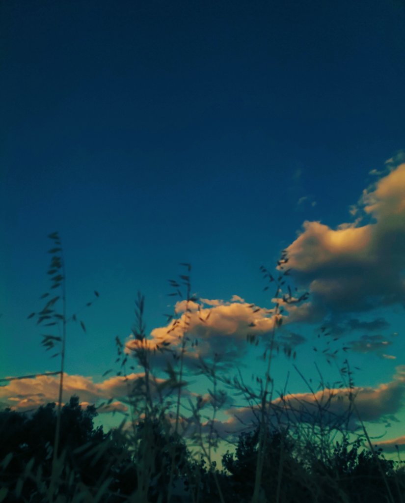 “Daha çok anlat” dedim.
“Hoşuna gidiyor mu?”
“Çok. Elimden gelse seninle sekiz yüz elli iki bin kilometre hiç durmadan konuşurdum.”
“Bu kadar yola nasıl benzin yetiştiririz?”
“Gider gibi yaparız.
#günaydın #şekerportakalı #çarşamba #maviayraç #benimokumalarım #kitaptavsiyesi